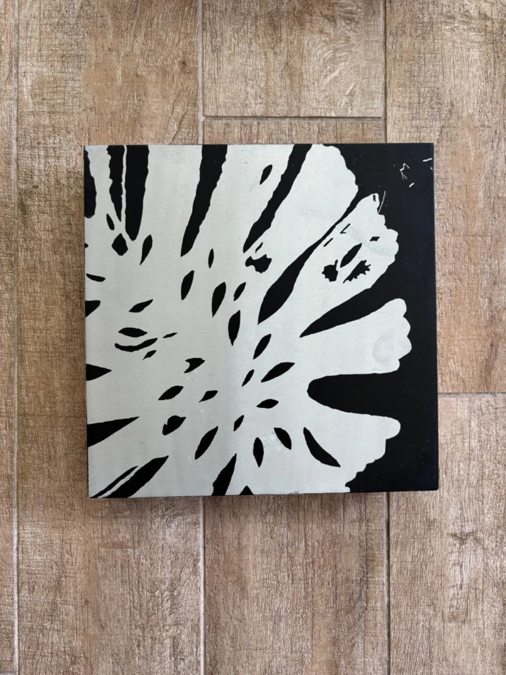 West Elm Set of 3 Tropical Wall Hanging